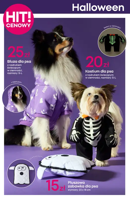 Pepco - gazetka promocyjna Gazetka od czwartku 18.09 do środy 01.10 - strona 12