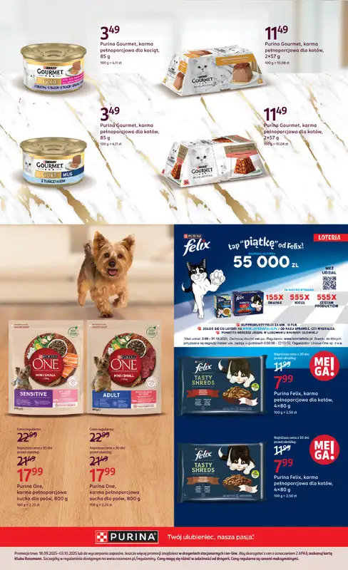 Rossmann - gazetka promocyjna Gazetka od czwartku 18.09 do piątku 03.10 - strona 20