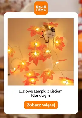 Temu - gazetka promocyjna Jesienne dekoracje od środy 17.09 do poniedziałku 29.09 - strona 8