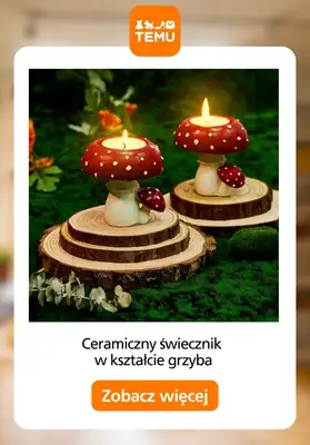 Temu - gazetka promocyjna Jesienne dekoracje od środy 17.09 do poniedziałku 29.09 - strona 6