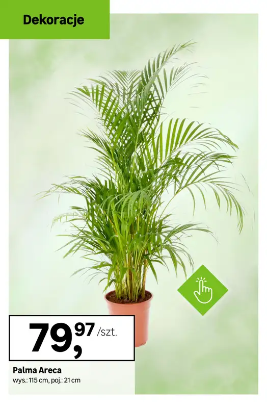 Leroy Merlin - gazetka promocyjna Dekoracje - SUPERCENY! od czwartku 18.09 do wtorku 23.09 - strona 11