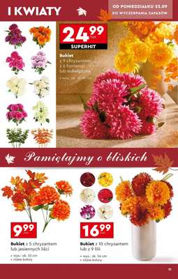 Biedronka - gazetka promocyjna Znicze w Biedronce od poniedziałku 22.09 do soboty 01.11 - strona 11