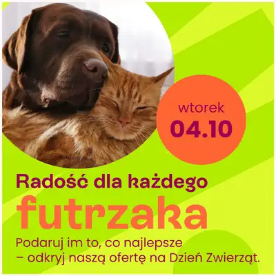 Frisco - gazetka promocyjna Gazetka od poniedziałku 22.09 do niedzieli 05.10 - strona 29