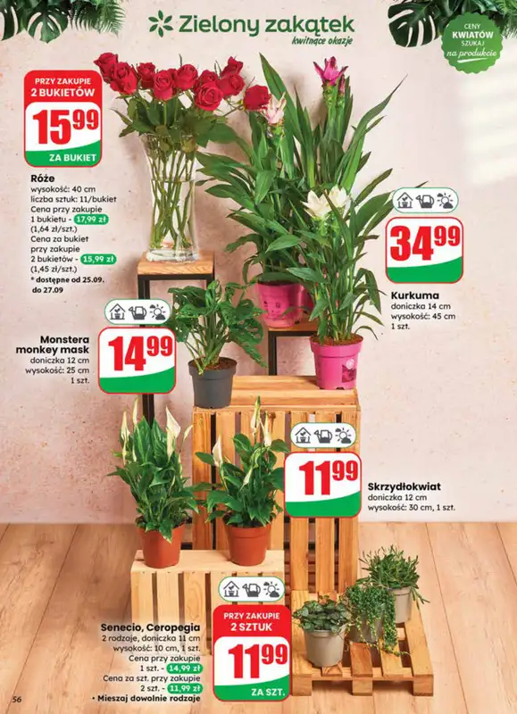 Dino - gazetka promocyjna Gazetka od środy 24.09 do wtorku 30.09 - strona 56