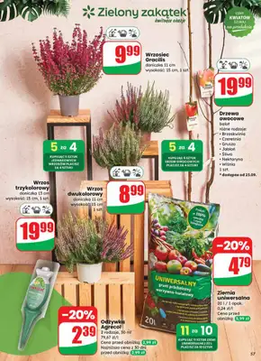 Dino - gazetka promocyjna Gazetka od środy 24.09 do wtorku 30.09 - strona 57