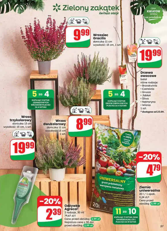 Dino - gazetka promocyjna Gazetka od środy 24.09 do wtorku 30.09 - strona 57