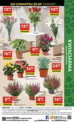 Delikatesy Centrum - gazetka promocyjna Gazetka  do środy 01.10 - strona 52