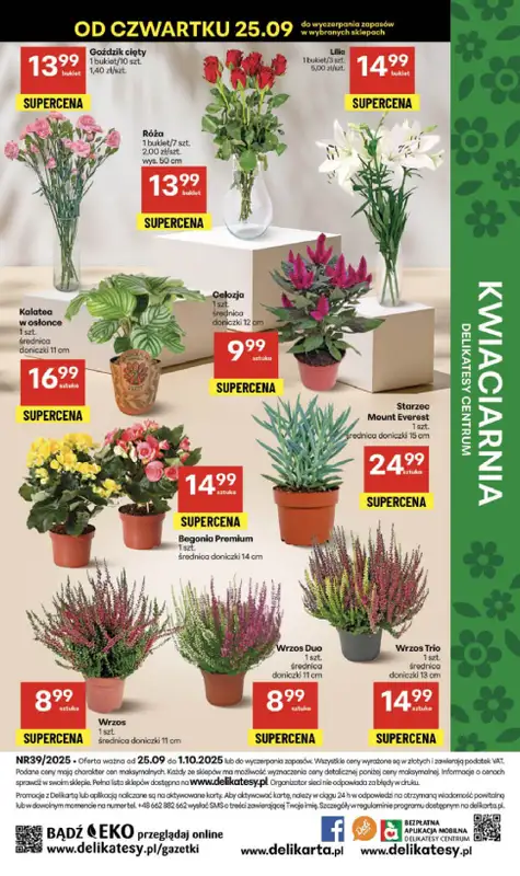 Delikatesy Centrum - gazetka promocyjna Gazetka  do środy 01.10 - strona 52