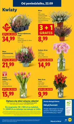 Lidl - gazetka promocyjna Oferta od poniedziałku od poniedziałku 22.09 do środy 24.09 - strona 62