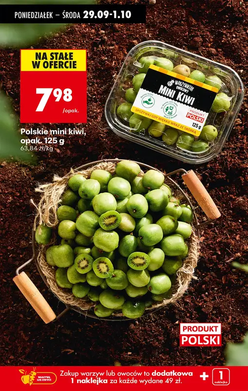 Biedronka - gazetka promocyjna Od poniedziałku od poniedziałku 29.09 do soboty 04.10 - strona 25