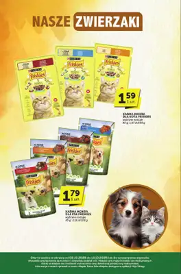 Groszek - gazetka promocyjna Katalog  do wtorku 14.10 - strona 31