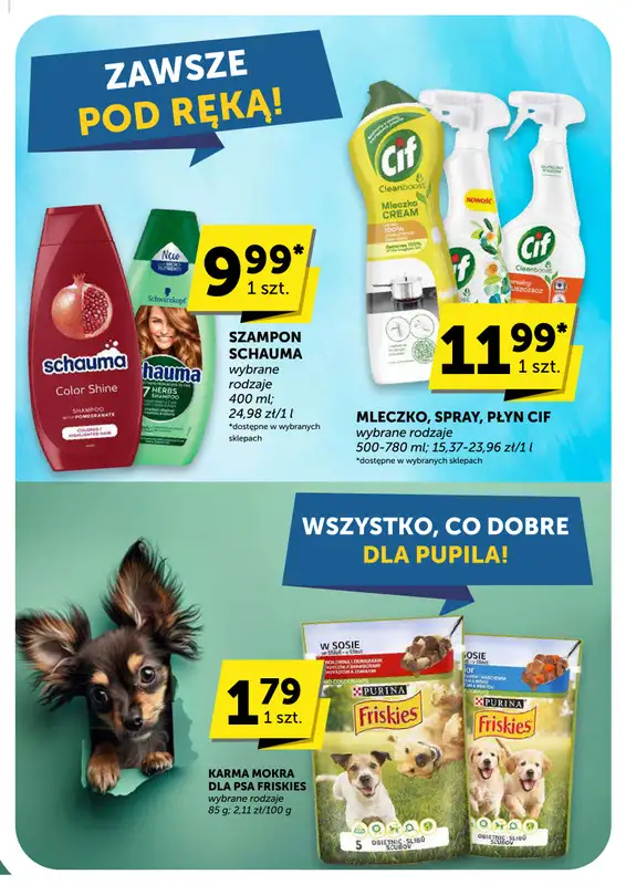 Groszek - gazetka promocyjna Gazetka Market  do wtorku 14.10 - strona 41
