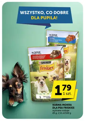 Groszek - gazetka promocyjna Gazetka Supermarket  do wtorku 14.10 - strona 51