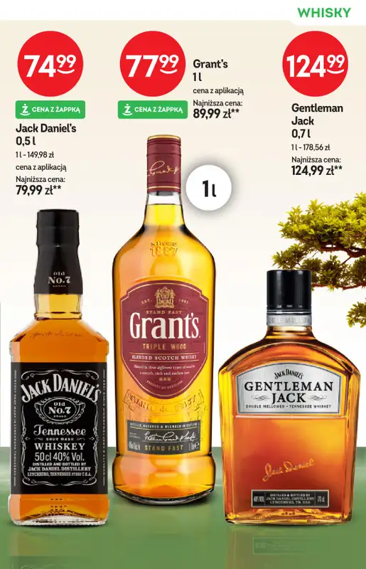 Żabka - gazetka promocyjna Katalog alkoholowy od środy 01.10 do wtorku 14.10 - strona 17