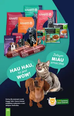 Stokrotka - gazetka promocyjna Gazetka Market od czwartku 02.10 do środy 08.10 - strona 31 Stokrotka - gazetka promocyjna Gazetka Market od czwartku 02.10 do środy 08.10 - strona 31