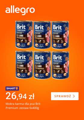 Allegro - gazetka promocyjna Wszystko na Światowy Dzień Pupila od piątku 03.10 do piątku 10.10