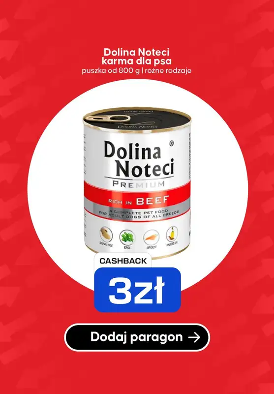 $Kasa wraca - gazetka promocyjna Kupuj produkty i odbieraj zwroty od poniedziałku 06.10 do niedzieli 12.10 - strona 7