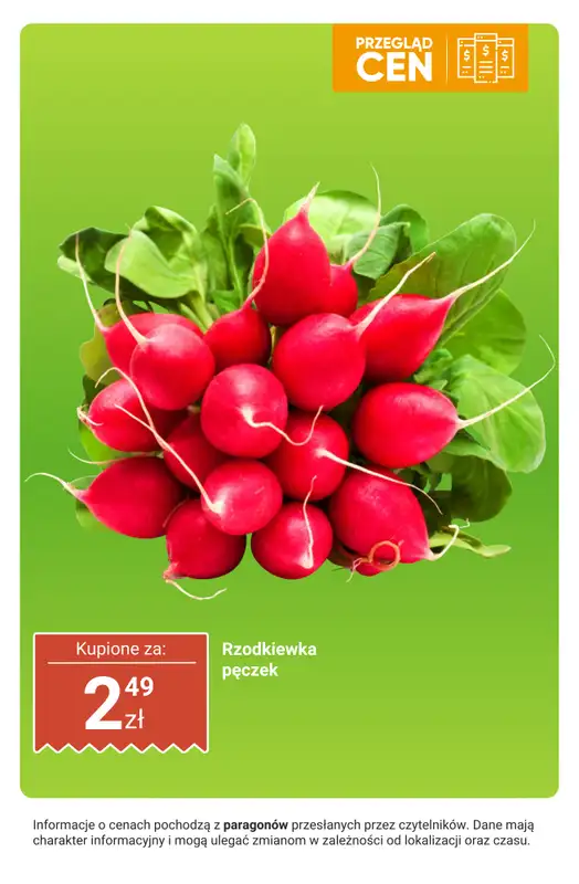 Dino - gazetka promocyjna Owoce i warzywa - przegląd cen od poniedziałku 06.10 do niedzieli 12.10 - strona 19