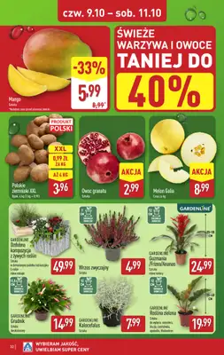 Aldi - gazetka promocyjna Pełny katalog! od poniedziałku 06.10 do soboty 11.10 - strona 32