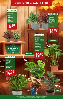 Aldi - gazetka promocyjna Rośliny w super cenie! od czwartku 09.10 do soboty 11.10 - strona 2