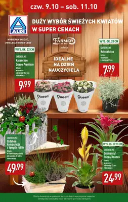 Aldi - gazetka promocyjna Rośliny w super cenie! od czwartku 09.10 do soboty 11.10