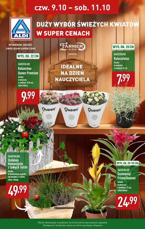 Aldi - gazetka promocyjna Rośliny w super cenie! od czwartku 09.10 do soboty 11.10