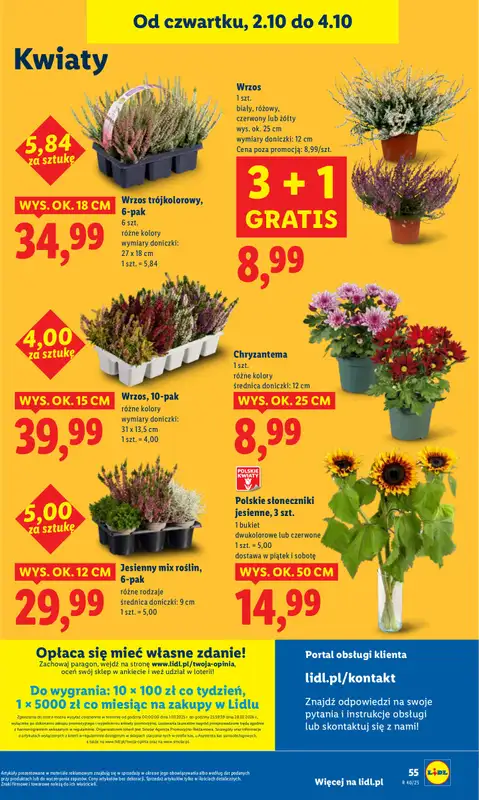 Lidl - gazetka promocyjna Oferta od czwartku od czwartku 02.10 do soboty 04.10 - strona 63