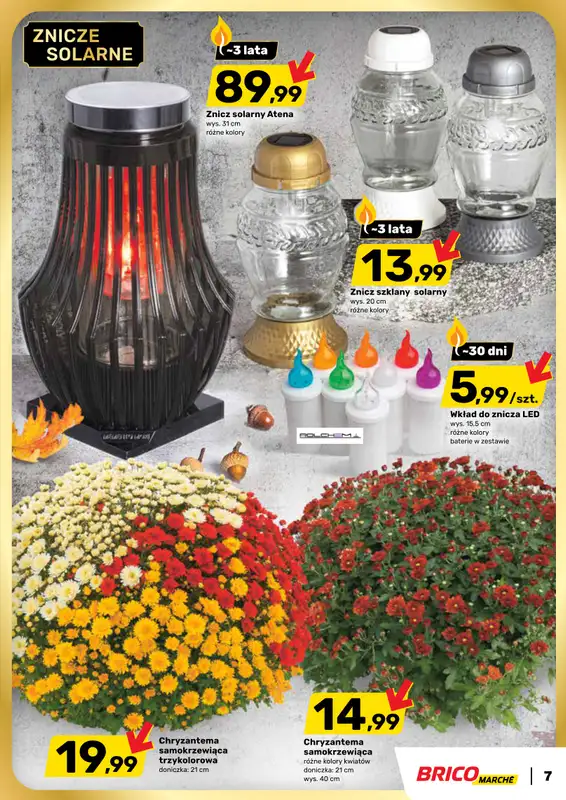 Bricomarche - gazetka promocyjna Gazetka od środy 08.10 do soboty 18.10 - strona 7