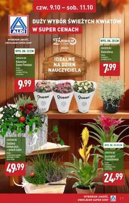 Aldi - gazetka promocyjna Weekend super cen w Aldi! od czwartku 09.10 do soboty 11.10 - strona 7