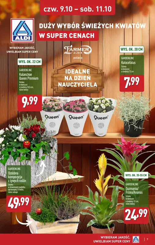 Aldi - gazetka promocyjna Weekend super cen w Aldi! od czwartku 09.10 do soboty 11.10 - strona 7