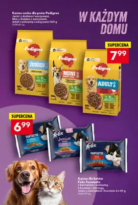 LEWIATAN - gazetka promocyjna MAMY TO w Lewiatanie  do środy 15.10 - strona 16