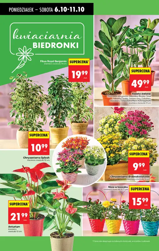 Biedronka - gazetka promocyjna Od poniedziałku od poniedziałku 06.10 do niedzieli 12.10 - strona 26