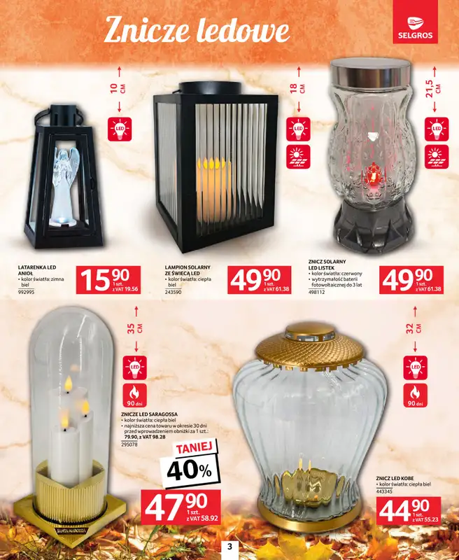 Selgros - gazetka promocyjna Katalog Wszystkich Świętych   - strona 3