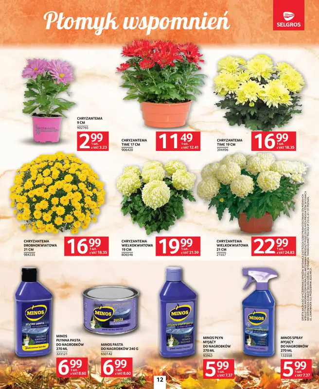 Selgros - gazetka promocyjna Katalog Wszystkich Świętych od czwartku 09.10 do środy 22.10 - strona 12
