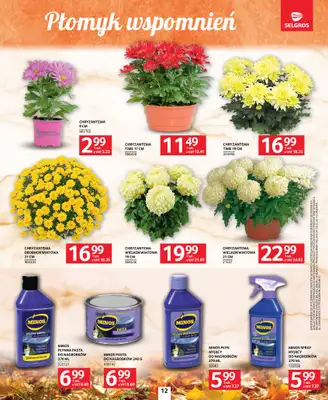 Selgros - gazetka promocyjna Katalog Wszystkich Świętych od czwartku 09.10 do środy 22.10 - strona 12 Selgros - gazetka promocyjna Katalog Wszystkich Świętych od czwartku 09.10 do środy 22.10 - strona 12