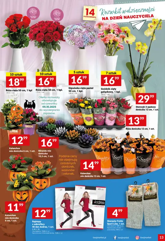 Twój Market - gazetka promocyjna Gazetka od środy 08.10 do wtorku 14.10 - strona 13