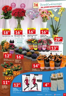 Twój Market - gazetka promocyjna Gazetka od środy 08.10 do wtorku 14.10 - strona 13 Twój Market - gazetka promocyjna Gazetka od środy 08.10 do wtorku 14.10 - strona 13