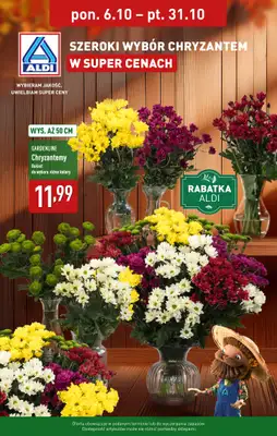 Aldi - gazetka promocyjna Chryzantemy w super cenach od wtorku 07.10 do piątku 31.10