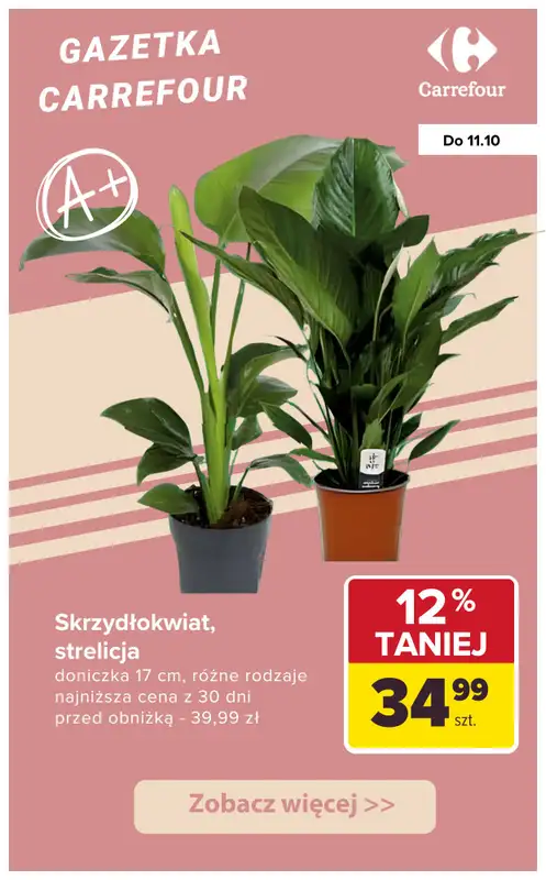 Carrefour - gazetka promocyjna Upominki na DZIEŃ NAUCZYCIELA od wtorku 07.10 do soboty 11.10 - strona 8