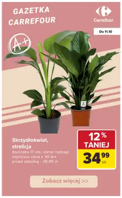 Carrefour - gazetka promocyjna Upominki na DZIEŃ NAUCZYCIELA od wtorku 07.10 do soboty 11.10 - strona 8 Carrefour - gazetka promocyjna Upominki na DZIEŃ NAUCZYCIELA od wtorku 07.10 do soboty 11.10 - strona 8