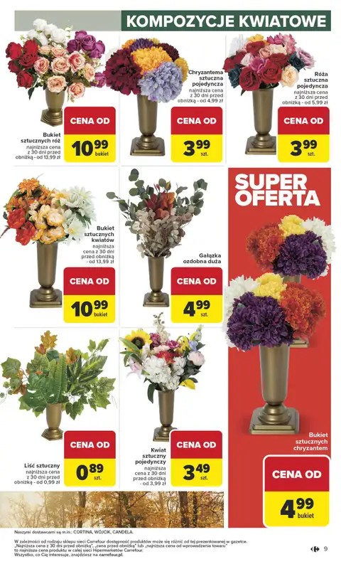 Carrefour - gazetka promocyjna Gazetka Łap okazje od czwartku od czwartku 09.10 do środy 22.10 - strona 9