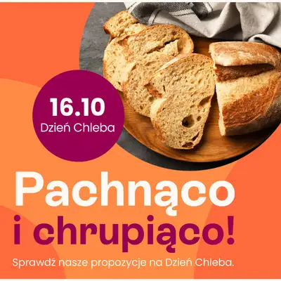 Frisco - gazetka promocyjna Gazetka od wtorku 07.10 do niedzieli 19.10 - strona 15