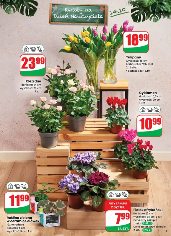 Dino - gazetka promocyjna Gazetka od środy 08.10 do wtorku 14.10 - strona 9