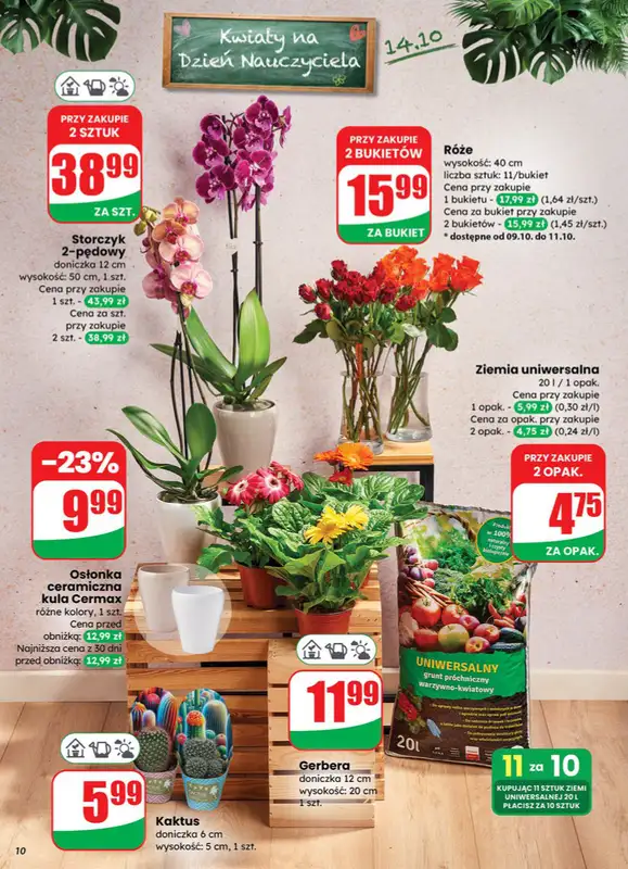 Dino - gazetka promocyjna Gazetka od środy 08.10 do wtorku 14.10 - strona 10