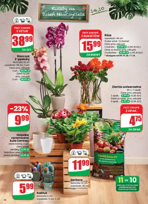 Dino - gazetka promocyjna Gazetka od środy 08.10 do wtorku 14.10 - strona 10 Dino - gazetka promocyjna Gazetka od środy 08.10 do wtorku 14.10 - strona 10