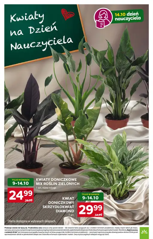 Stokrotka - gazetka promocyjna Gazetka Market od czwartku 09.10 do środy 15.10 - strona 8