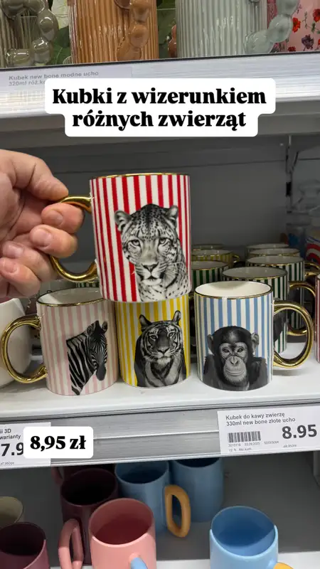 Action - gazetka promocyjna Zakupowe Inspiracje w Action od poniedziałku 13.10  - strona 5