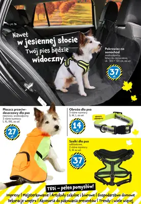Tedi - gazetka promocyjna Gazetka od piątku 10.10 do soboty 18.10 - strona 27