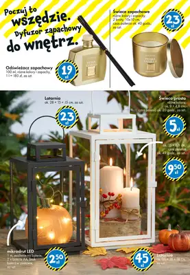 Tedi - gazetka promocyjna Gazetka od piątku 10.10 do soboty 18.10 - strona 23