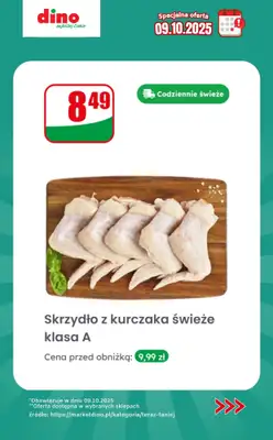Dino - gazetka promocyjna Specjalna oferta na 09.10.2025 - promocje spoza gazetki od czwartku 09.10 do czwartku 09.10 - strona 4